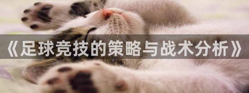 《足球竞技的策略与战术分析》