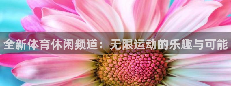 全新体育休闲频道：无限运动的乐趣与可能