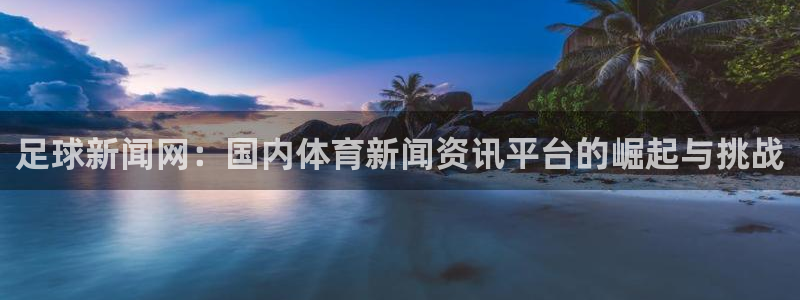 足球新闻网：国内体育新闻资讯平台的崛起与挑战