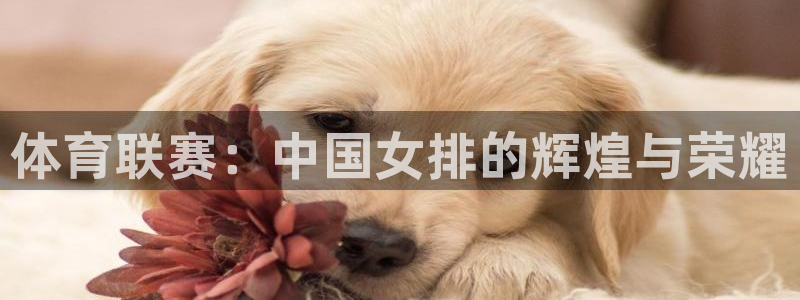 体育联赛：中国女排的辉煌与荣耀