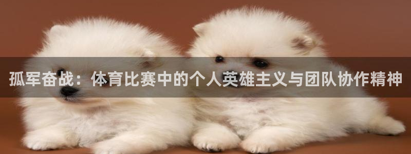 孤军奋战：体育比赛中的个人英雄主义与团队协作精神